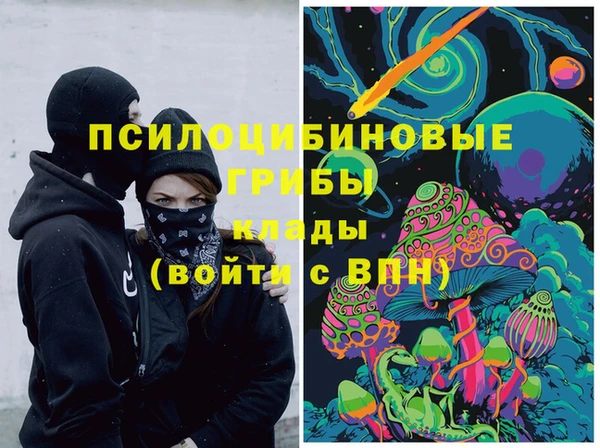 гашик Волосово