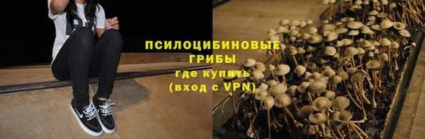 гашик Волосово