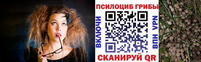 Псилоцибиновые грибы мухоморы  Рубцовск 